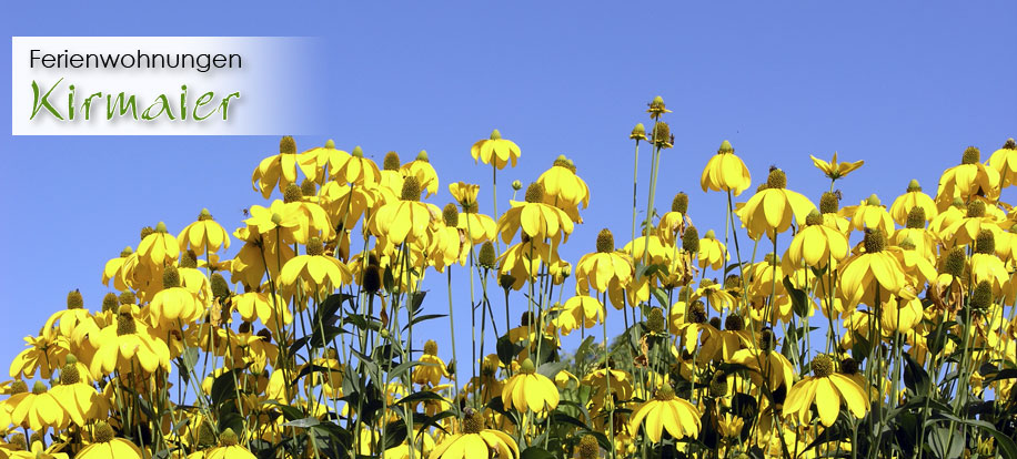 Sommer Impressionen